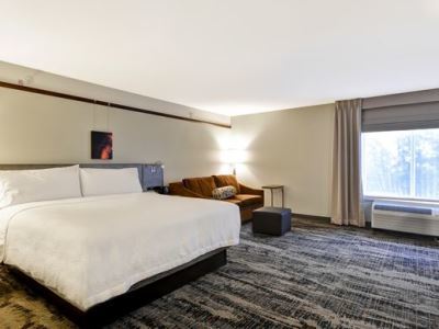 Hilton Garden Austin Hotel Round Rock